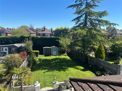 Picture 15
